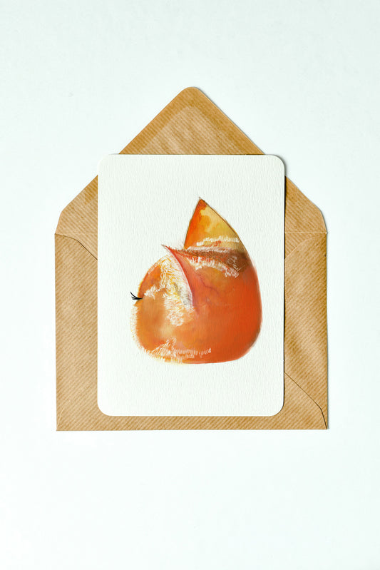 Pawrange postcard