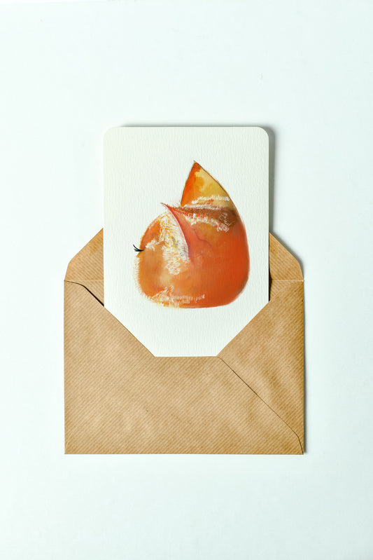Pawrange  postcard